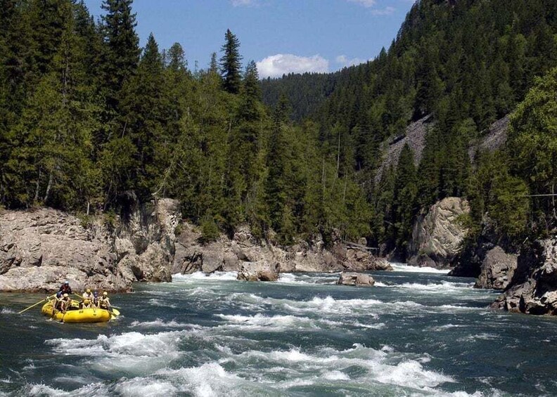 A river with rapids, surrounded by dense forest and rocky terrain. 5