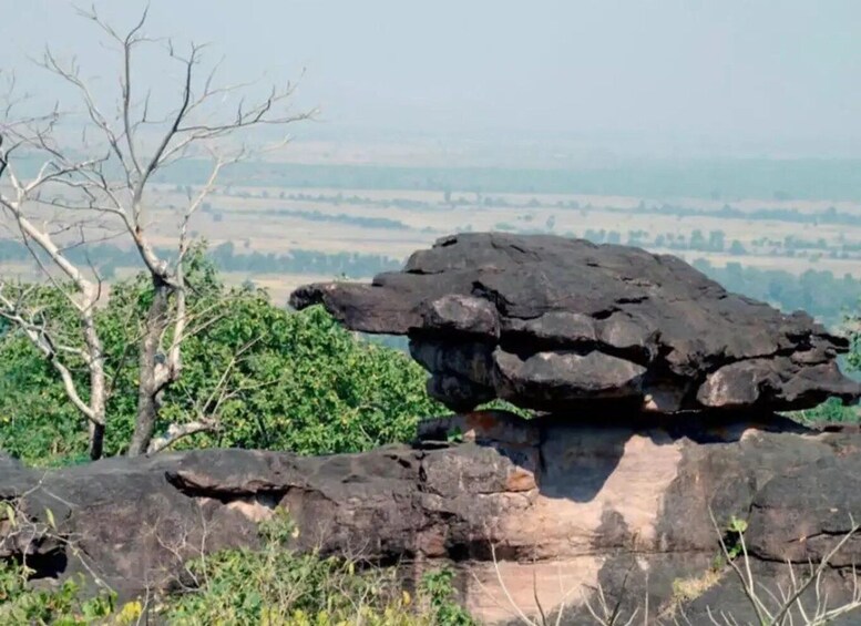 Picture 1 for Activity DAY TRIP TO BHIMBETKA FROM BHOPAL 2
