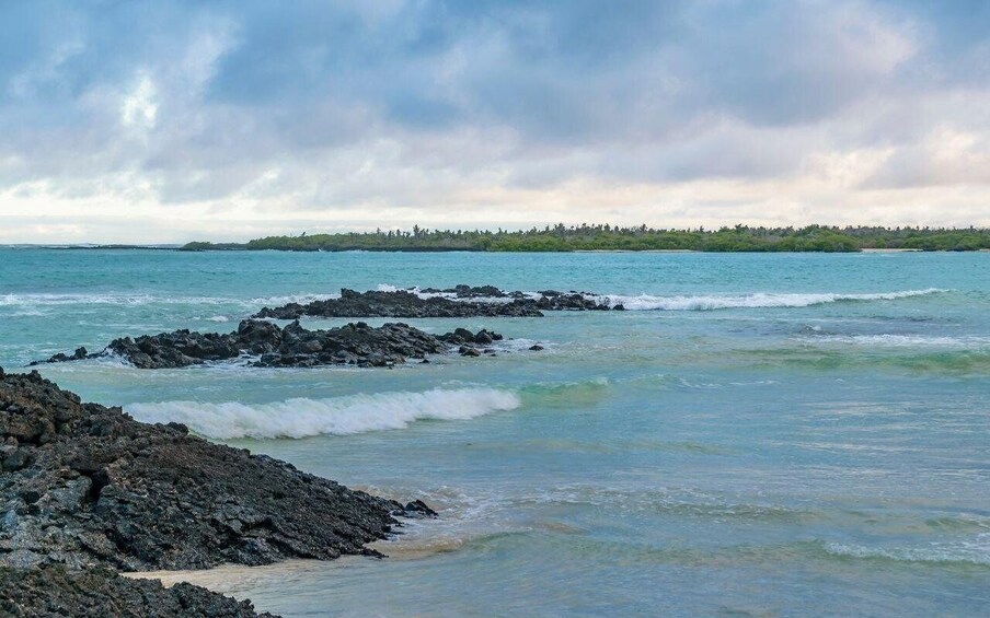 A rocky shoreline with waves crashing onto the rocks and a distant tree-covered island under a cloudy sky. 2