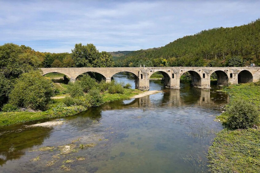 A stone bridge over a river surrounded by greenery. 1
