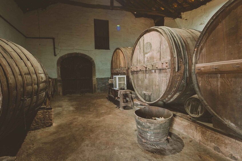 A cellar with large wooden barrels, a small stool, and a metal bucket. 2