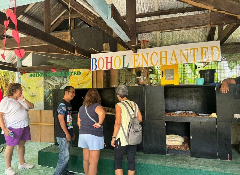 Picture 10 for Activity Bohol Chocolate Hills, Mirror of the World & Tarsier Tour 2