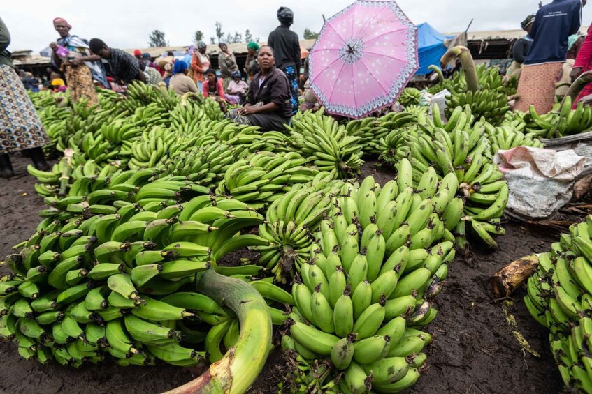 Picture 1 for Activity Arusha : Banana Experience, Banana Farms, Cooking & Culture 2