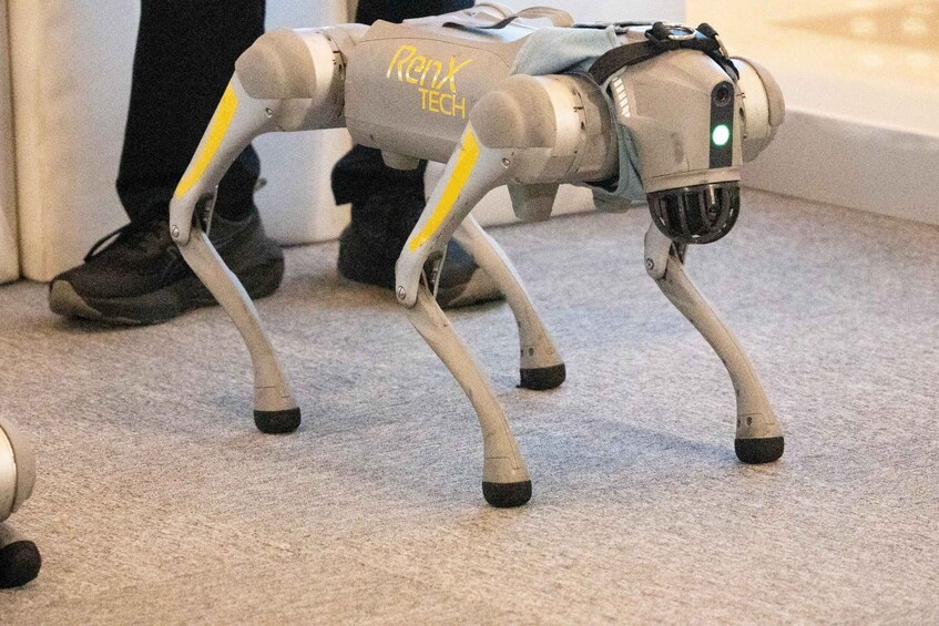 A robotic dog with yellow accents and the text "Renx Tech" on its back. 4