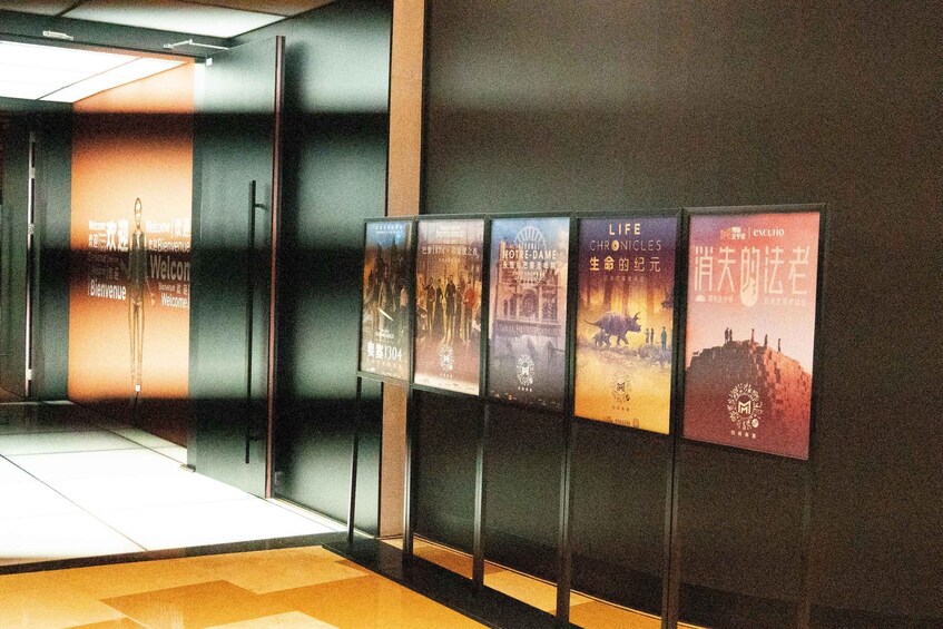 A wall with movie posters. 5