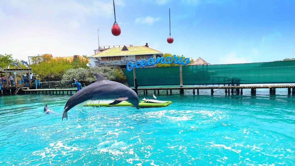 CARTAGENA: 4 islands by sport boat +oceanarium tickets 1