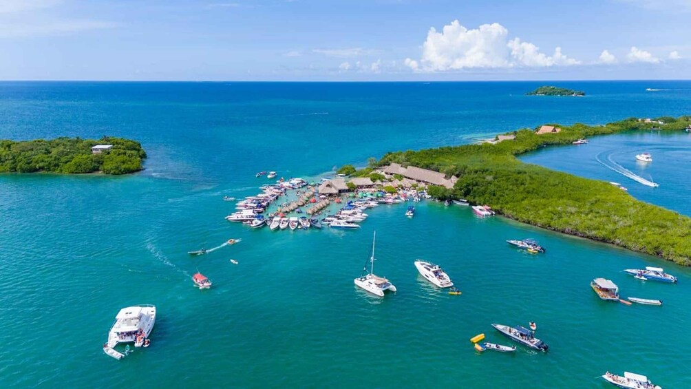 Picture 3 for Activity CARTAGENA: 4 islands by sport boat +oceanarium tickets 4