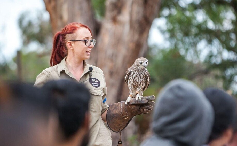 A person in a uniform holding an owl. 2