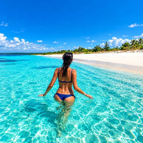 Hidden Paradise of the Caribbean: VIP Getaway to Private Beaches 1