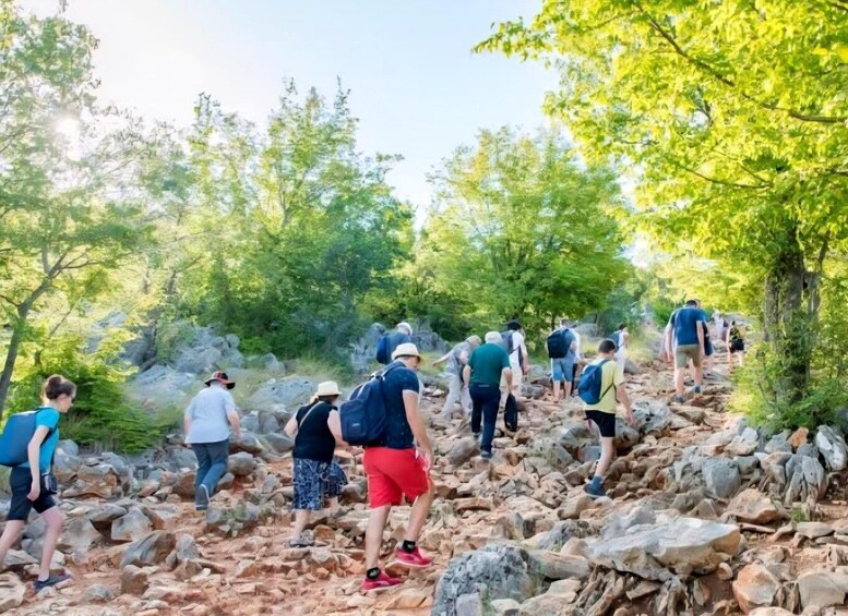 A group of hikers ascending a rocky trail surrounded by trees. 4