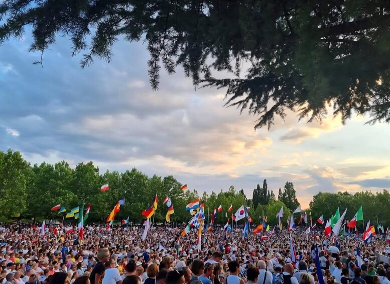 A large crowd of people gathered outdoors, many holding flags. 5