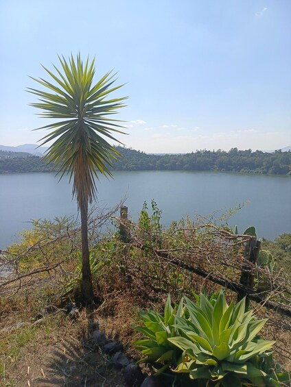 Picture 1 for Activity Addis Ababa:Trip with Lake Bishoftu 4
