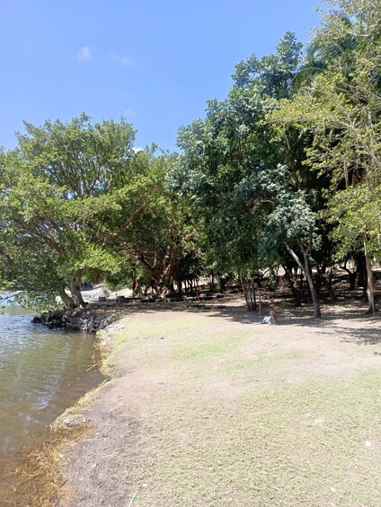 Picture 6 for Activity Addis Ababa:Trip with Lake Bishoftu 3