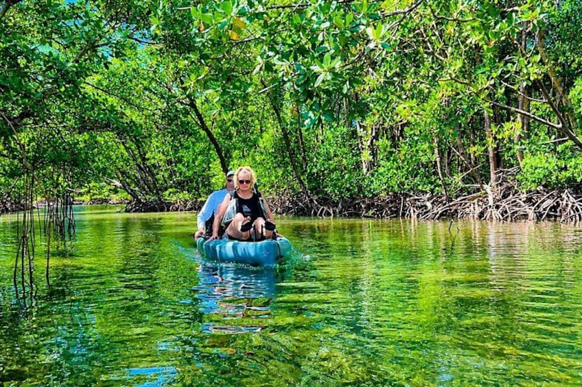 A person floating on a raft in a mangrove forest. 2