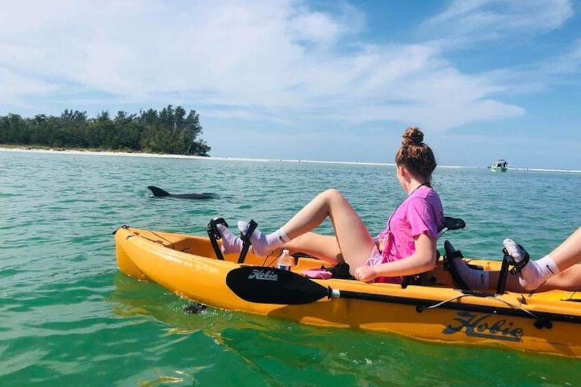 Two people kayaking on a calm sea with a distant island and a whale in the background. 3