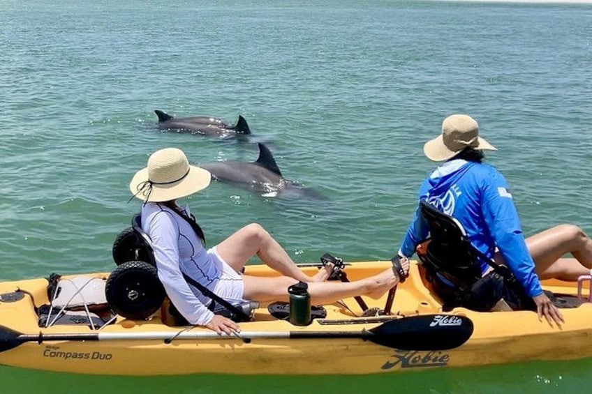 Exclusive Pedal Kayak Tour Marco Island Naples 2