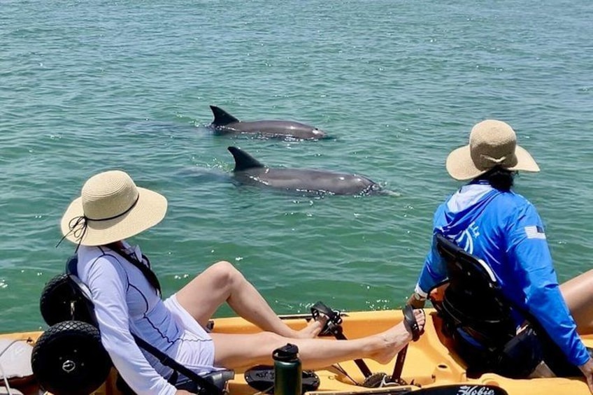 Exclusive Pedal Kayak Tour Marco Island Naples 3