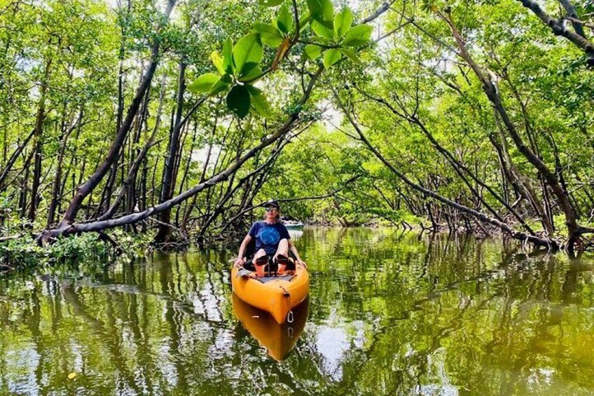 A person in a yellow raft on a river surrounded by mangrove trees. 4