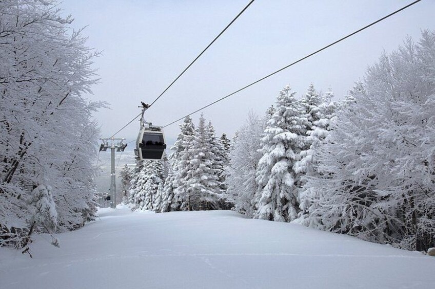 Istanbul Bursa and Uludag Mountain Tour with Cable Car and Lunch 3