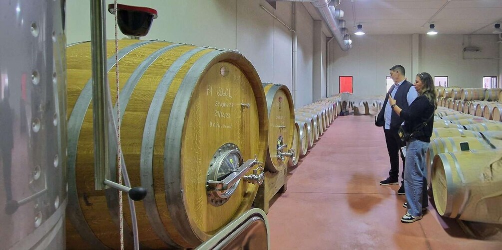 Picture 7 for Activity Mallorca: Bodega & Olives Minibustour with wine/oil tasting 3