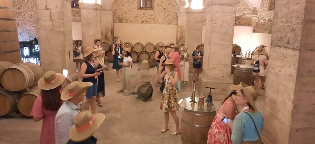 Mallorca: Bodega & Olives Minibustour with wine/oil tasting 2