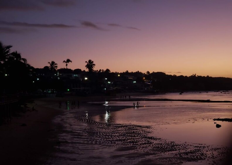 A beach at dusk with calm waters reflecting the sky, palm trees, and distant buildings. 2