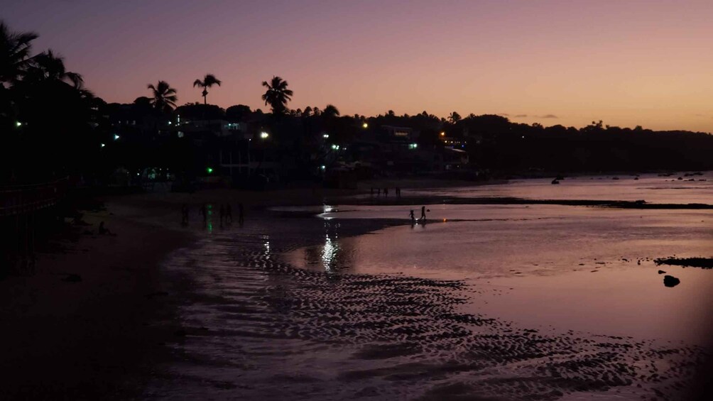 Picture 7 for Activity Natal: Pipa Beach Nightlife Tour with Hotel Pickup 2