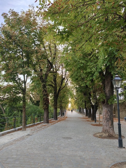 Picture 22 for Activity Zagreb: Small-group tour (funicular & WWII tunnel included) 5
