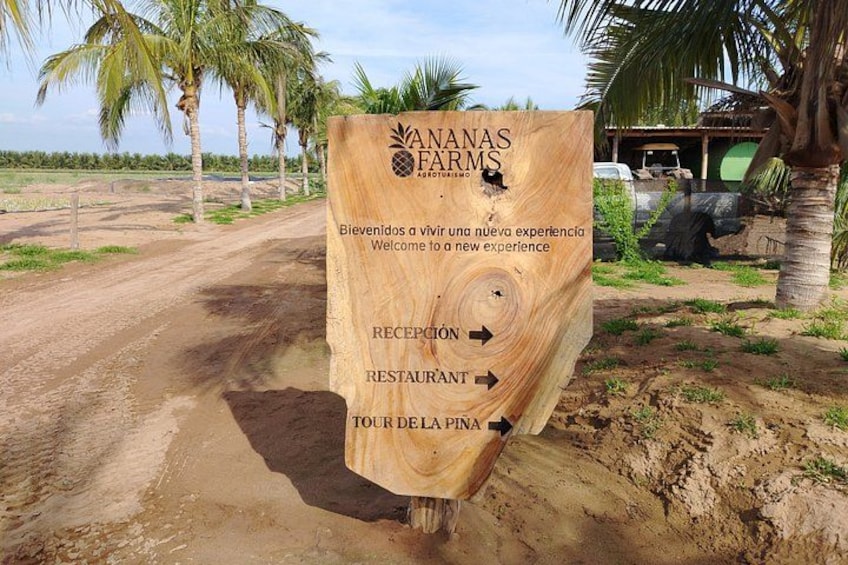 A wooden sign with directions to reception, restaurant, and tour de la pina at A Nanas Farms. 5