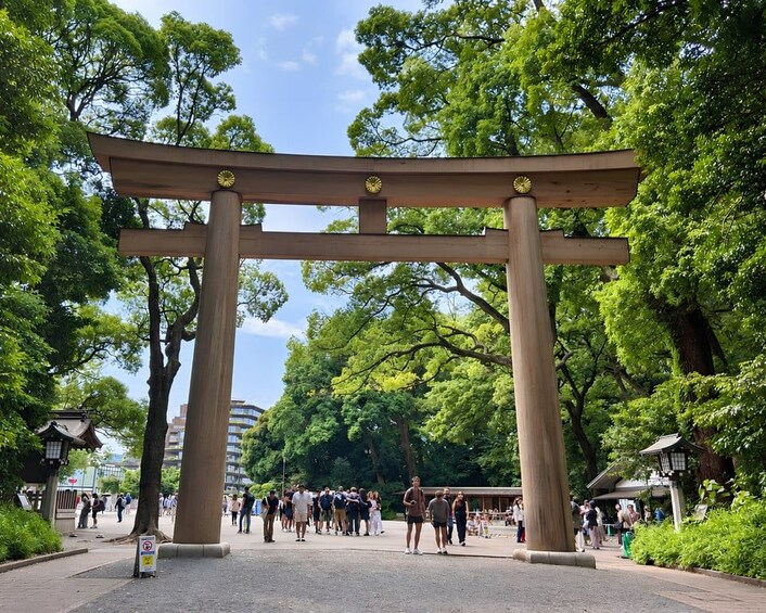 Tokyo: Meiji Jingu Shrine and Shinto Culture Walking Tour 1