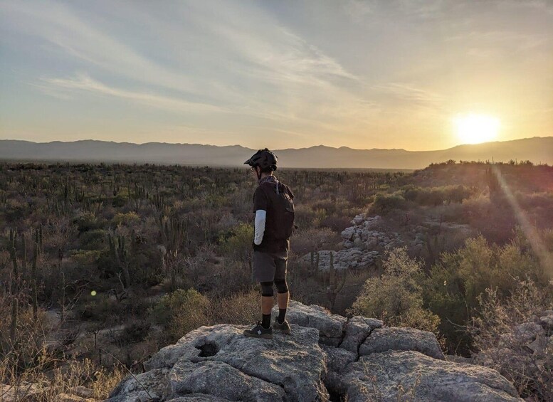 A person standing on a rock with a desert landscape and mountains in the background. 4