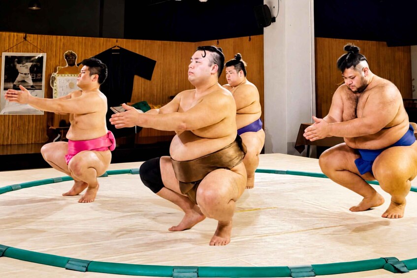 Picture 14 for Activity Osaka: Interactive Sumo | Taste, Watch, Discover & Challenge 2