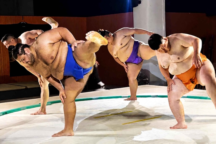 Osaka: Interactive Sumo | Taste, Watch, Discover & Challenge 1