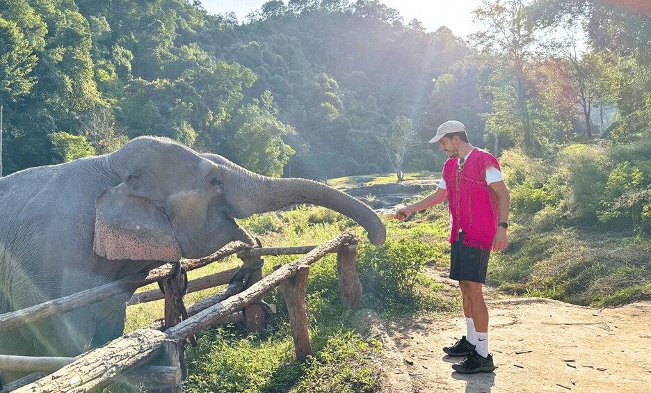 A person interacting with an elephant near a wooden fence in a natural setting. 2
