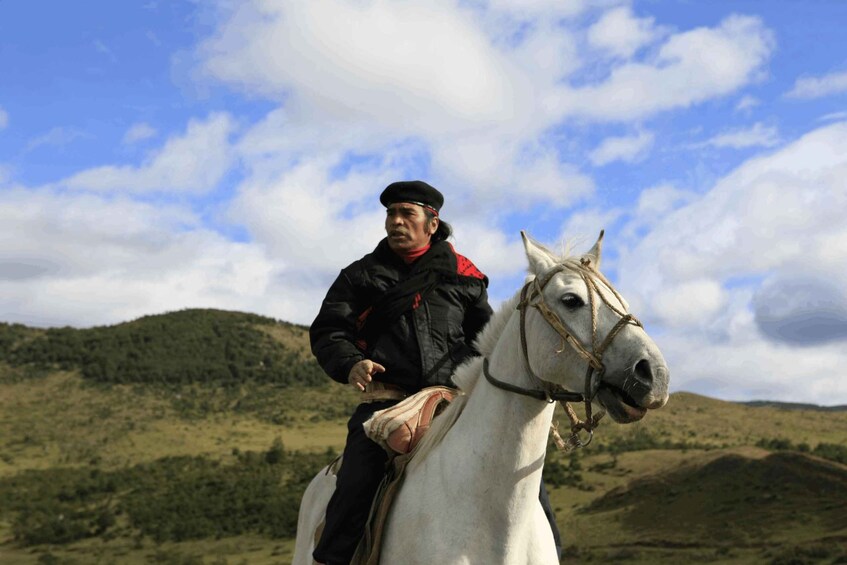 A person riding a white horse on a grassy hill with a blue sky and clouds. 2