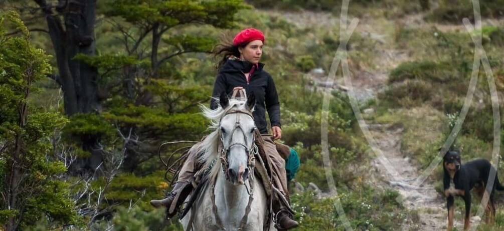 A person riding a horse on a dirt path surrounded by greenery. 5