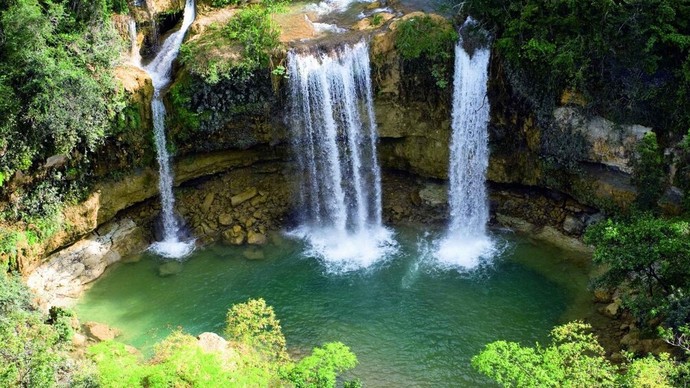 A waterfall cascading into a pool surrounded by lush greenery. 4