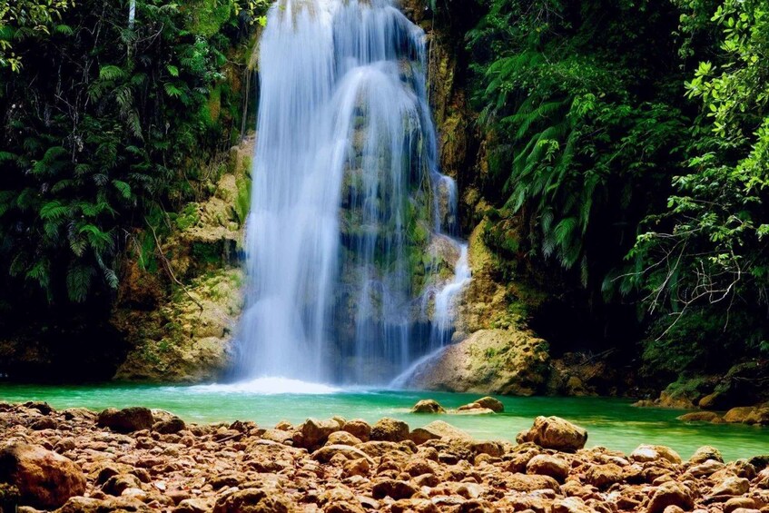 A waterfall cascading over rocks into a clear pool surrounded by dense green foliage. 3