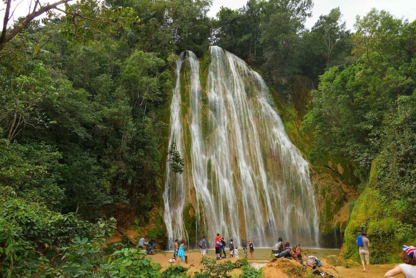 A waterfall surrounded by dense forest. 1
