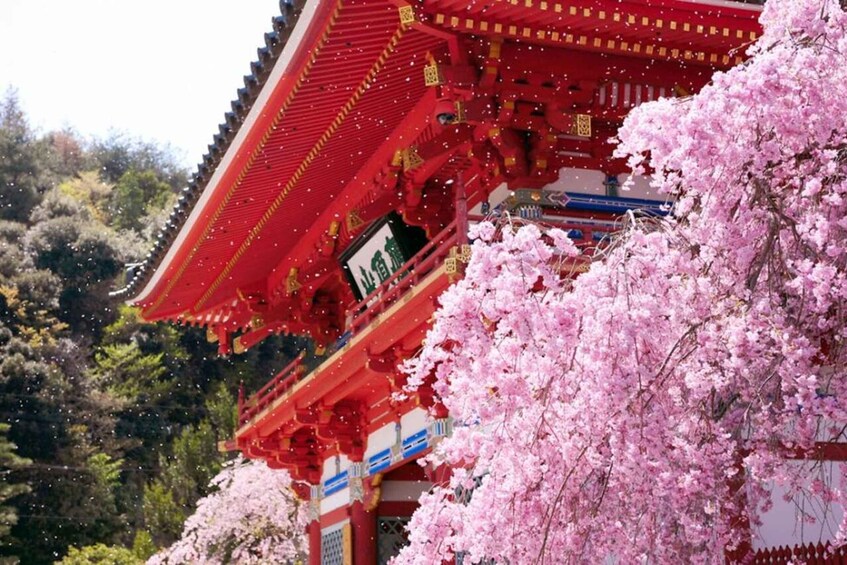 A traditional red building with a sign that reads "Shinto Shrine". 3