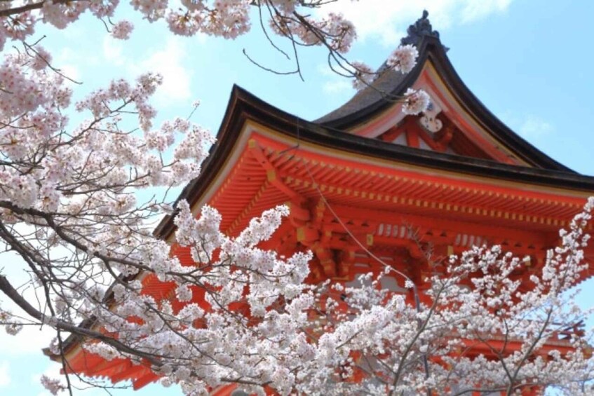 A traditional Japanese building with a red roof and white cherry blossoms in the foreground. 2