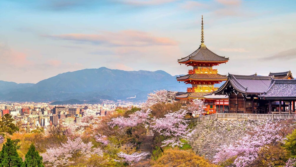 A traditional Japanese pagoda with a stone wall and cherry blossoms in the foreground. 5