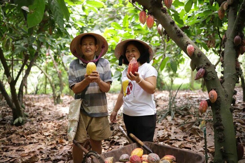 Picture 7 for Activity 2 Days Nature & Chocolate Getway to Ho Tram l From HCMC 2