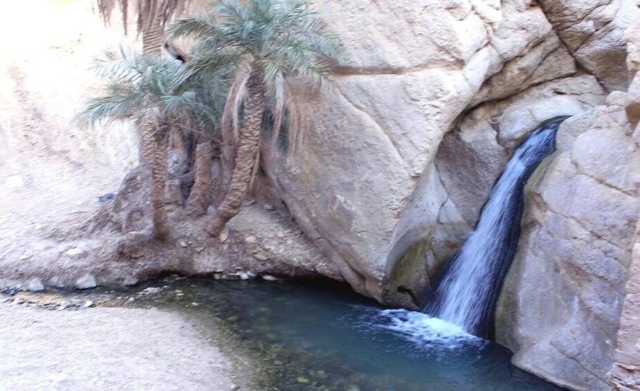 Picture 38 for Activity 6 Days of Thrills: Jeep Adventure to the Heart of the Desert 5