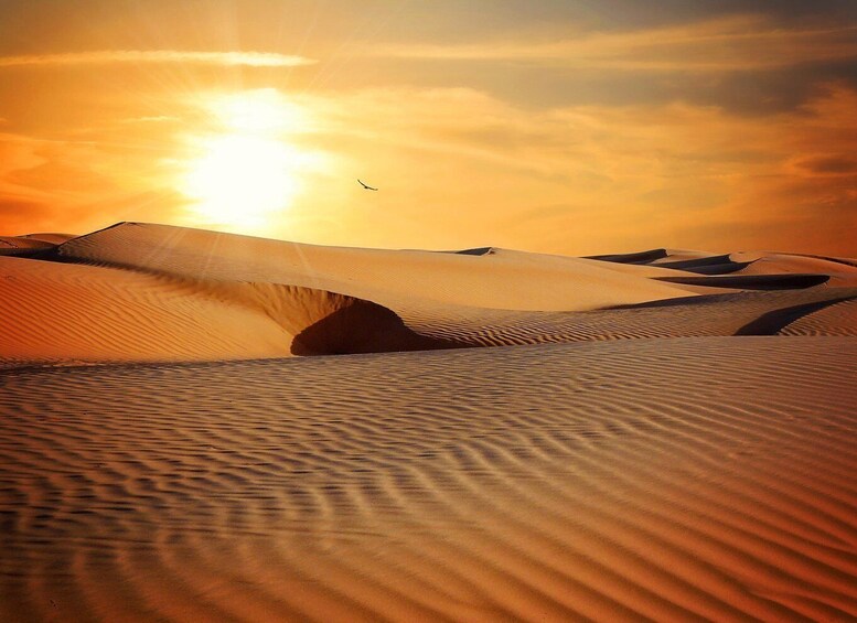 6 Days of Thrills: Jeep Adventure to the Heart of the Desert 1