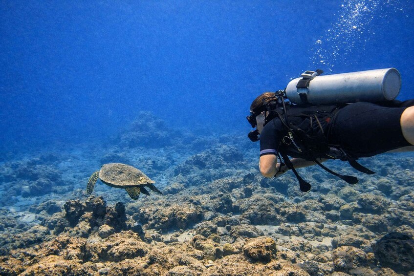 A diver with a scuba tank swimming underwater, observing a sea turtle on a coral reef. 4