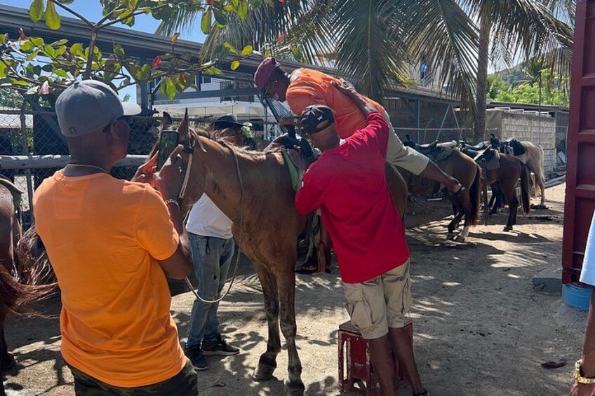 A person in a red shirt handling a horse, with other people and horses in the background. 1