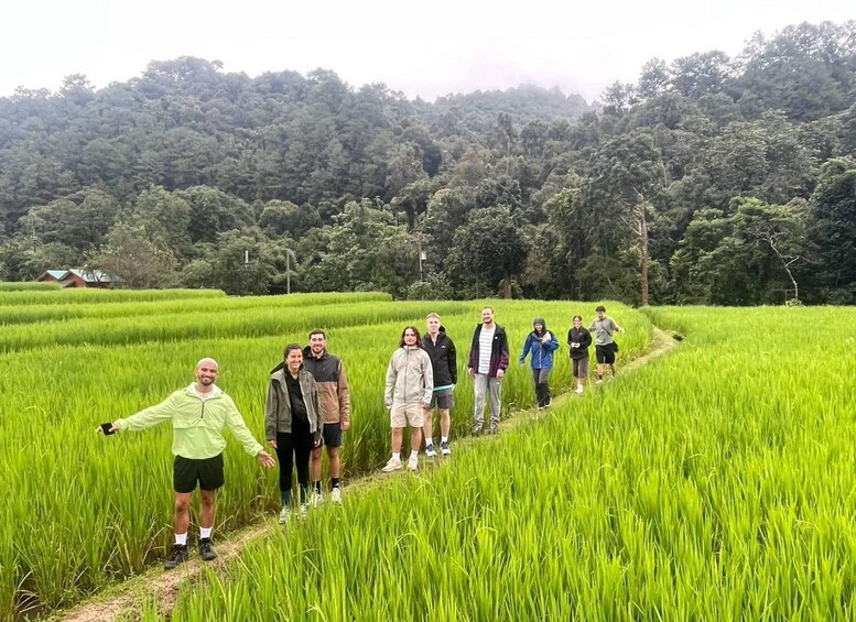 Chiang Mai: Doi Inthanon Trip with Pha Dok Siew Guided Trek 1