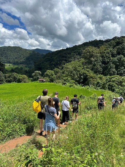 Picture 98 for Activity Chiang Mai: Doi Inthanon Trip with Pha Dok Siew Guided Trek 2