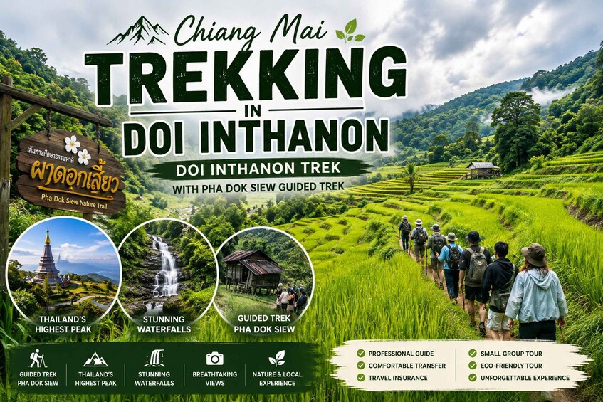 Chiang Mai: Doi Inthanon Trip with Pha Dok Siew Guided Trek 2